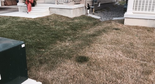Great Green lawns with Turf King Lawn Care
